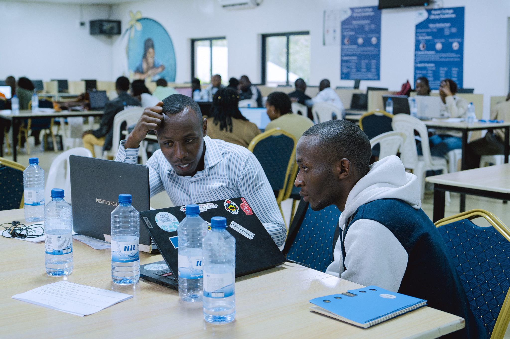 54445604892_1e63000bda_k